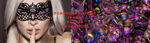 мдпв Арсеньев